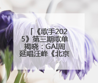 《歌手2025》第三期歌单揭晓：GAI周延唱汪峰《北京北京》，马嘉祺唱S.H.E《你曾是少年》