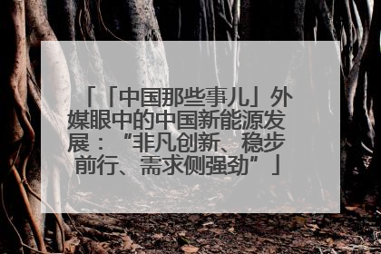 「中国那些事儿」外媒眼中的中国新能源发展：“非凡创新、稳步前行、需求侧强劲”