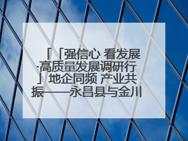 「强信心 看发展·高质量发展调研行」地企同频 产业共振——永昌县与金川集团地企融合推动重大项目建设
