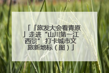 「旅发大会看青原」走进“山川第一江西景” 打卡城市文旅新地标（图）
