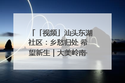 「视频」汕头东湖社区：乡愁归处 希望新生｜大美岭南·百村焕新记