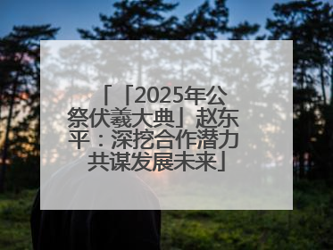 「2025年公祭伏羲大典」赵东平：深挖合作潜力 共谋发展未来