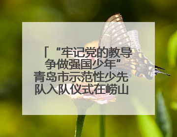 “牢记党的教导 争做强国少年”青岛市示范性少先队入队仪式在崂山区举办