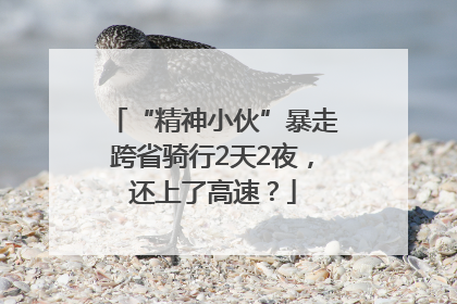 “精神小伙”暴走跨省骑行2天2夜，还上了高速？