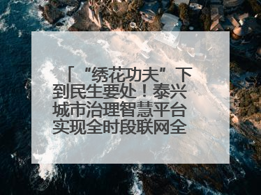 “绣花功夫”下到民生要处！泰兴城市治理智慧平台实现全时段联网全要素细治