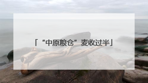 “中原粮仓”麦收过半