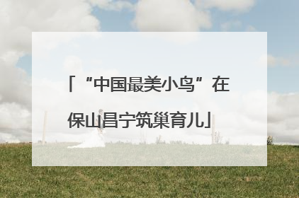 “中国最美小鸟”在保山昌宁筑巢育儿