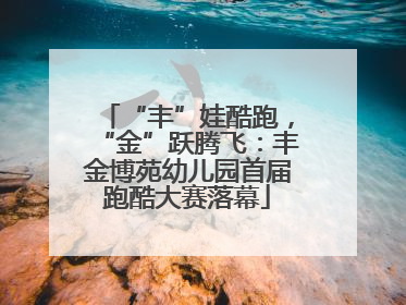 “丰”娃酷跑，“金”跃腾飞：丰金博苑幼儿园首届跑酷大赛落幕