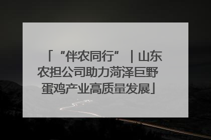 “伴农同行”｜山东农担公司助力菏泽巨野蛋鸡产业高质量发展