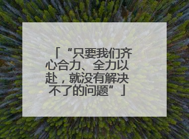 “只要我们齐心合力、全力以赴，就没有解决不了的问题”