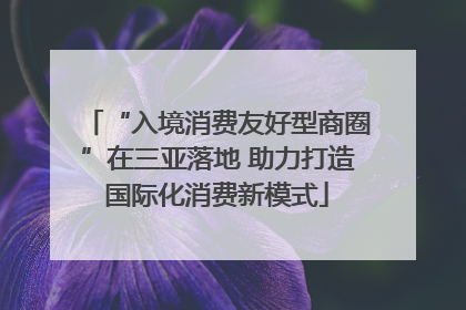 “入境消费友好型商圈”在三亚落地 助力打造国际化消费新模式