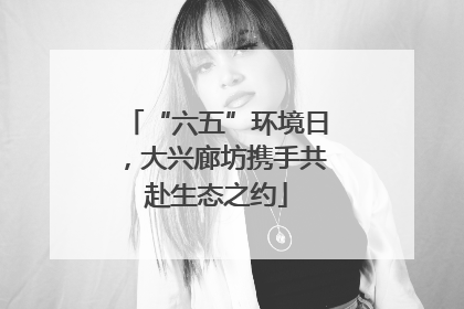 “六五”环境日，大兴廊坊携手共赴生态之约