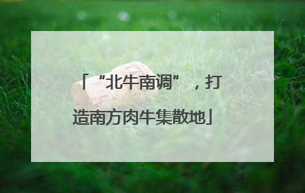 “北牛南调”，打造南方肉牛集散地