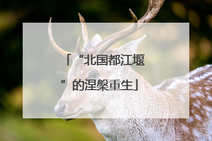“北国都江堰”的涅槃重生