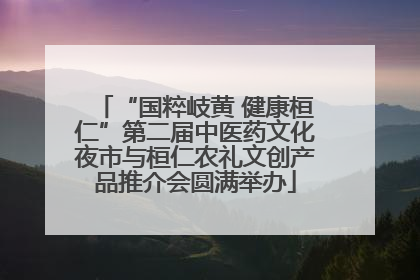 “国粹岐黄 健康桓仁”第二届中医药文化夜市与桓仁农礼文创产品推介会圆满举办