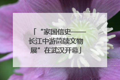 “家国信史——长江中游简牍文物展”在武汉开幕