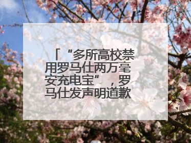 “多所高校禁用罗马仕两万毫安充电宝”，罗马仕发声明道歉：已展开核查