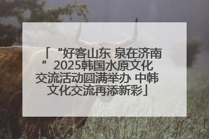 “好客山东 泉在济南”2025韩国水原文化交流活动圆满举办 中韩文化交流再添新彩