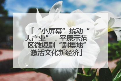 “小屏幕”撬动“大产业”，平原示范区微短剧“剧集地”激活文化新经济