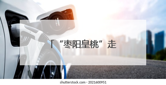 “枣阳皇桃”走进高校毕业季