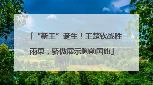 “新王”诞生！王楚钦战胜雨果，骄傲展示胸前国旗
