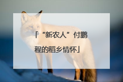 “新农人”付鹏程的稻乡情怀