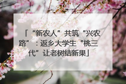 “新农人”共筑“兴农路”：返乡大学生“桃三代”让老树结新果