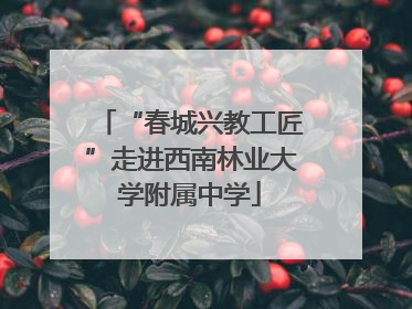 “春城兴教工匠”走进西南林业大学附属中学