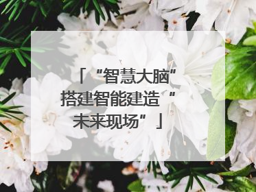 “智慧大脑”搭建智能建造“未来现场”