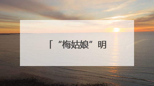 “梅姑娘”明日上岗 今年她可能“出镜”少但“戏份”重