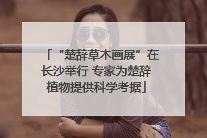 “楚辞草木画展”在长沙举行 专家为楚辞植物提供科学考据