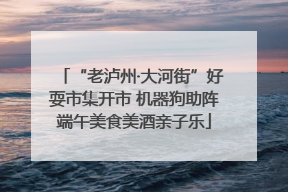 “老泸州·大河街”好耍市集开市 机器狗助阵端午美食美酒亲子乐