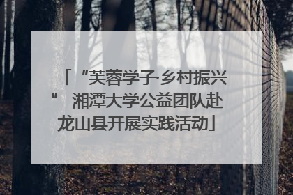 “芙蓉学子·乡村振兴” 湘潭大学公益团队赴龙山县开展实践活动