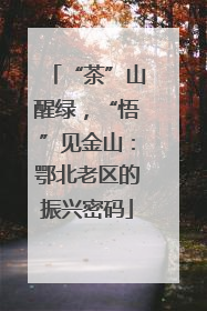 “茶”山醒绿，“悟”见金山：鄂北老区的振兴密码