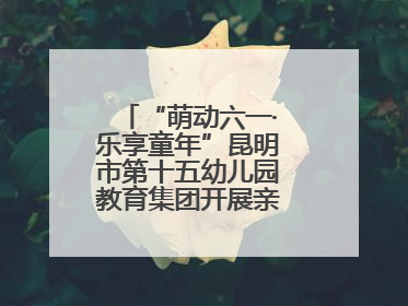 “萌动六一·乐享童年”昆明市第十五幼儿园教育集团开展亲子运动会闭幕