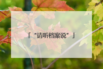 “请听档案说”