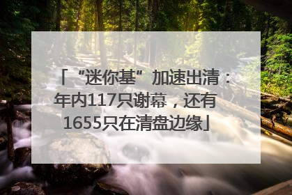 “迷你基”加速出清：年内117只谢幕，还有1655只在清盘边缘