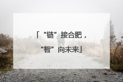 “链”接合肥，“智”向未来
