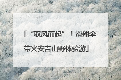 “驭风而起”！滑翔伞带火安吉山野体验游