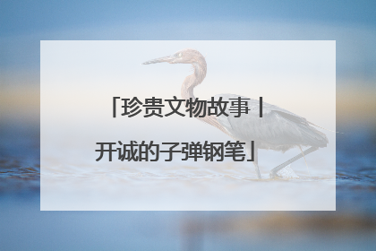 珍贵文物故事丨开诚的子弹钢笔