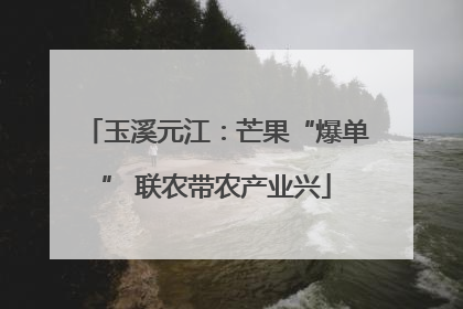 玉溪元江：芒果“爆单” 联农带农产业兴