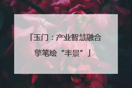 玉门：产业智慧融合 擎笔绘“丰景”