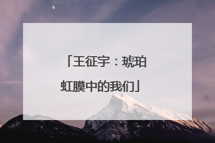 王征宇：琥珀虹膜中的我们