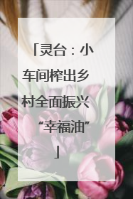 灵台：小车间榨出乡村全面振兴“幸福油”