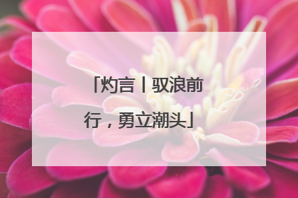 灼言丨驭浪前行，勇立潮头
