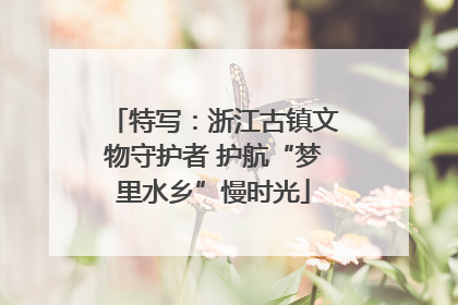 特写：浙江古镇文物守护者 护航“梦里水乡”慢时光