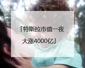 特斯拉市值一夜大涨4000亿