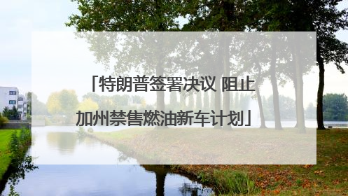 特朗普签署决议 阻止加州禁售燃油新车计划