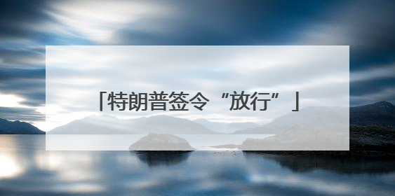 特朗普签令“放行”