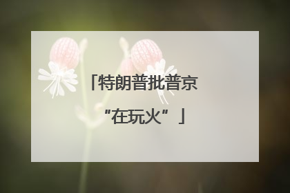 特朗普批普京“在玩火”
